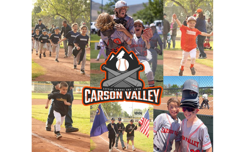 Welcome to Carson Valley Little League 
